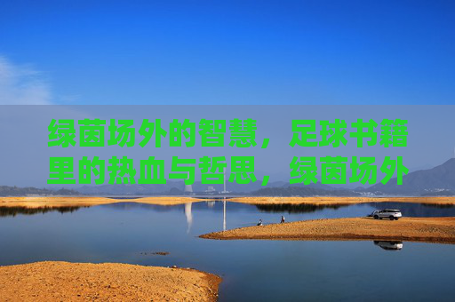 绿茵场外的智慧,足球书籍里的热血与哲思,绿茵场外的智慧,足球书籍里的热血哲思 绿茵场外的智慧,足球书籍里的热血与哲思,绿茵场外的智慧,足球书籍里的热血哲思