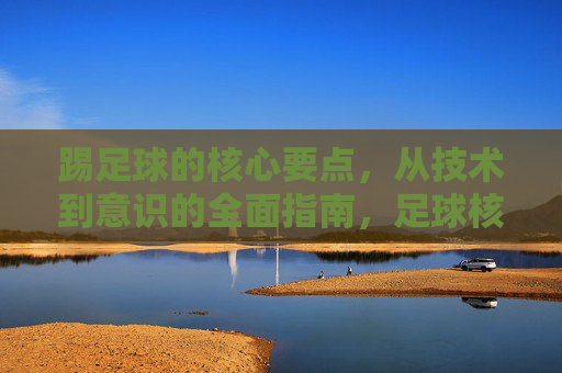 踢足球的核心要点，从技术到意识的全面指南，足球核心要点，技术与意识的全面指南