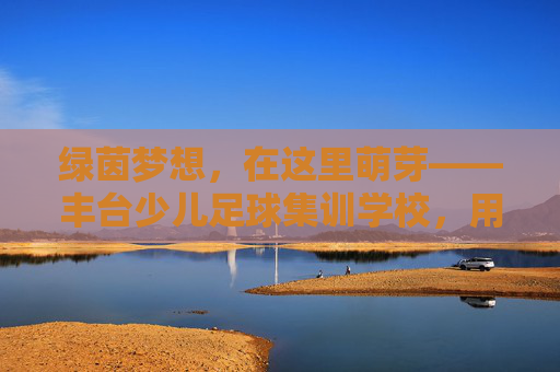 绿茵梦想,在这里萌芽——丰台少儿足球集训学校,用足球点亮童年,绿茵梦想萌芽,足球点亮童年 绿茵梦想,在这里萌芽——丰台少儿足球集训学校,用足球点亮童年,绿茵梦想萌芽,足球点亮童年