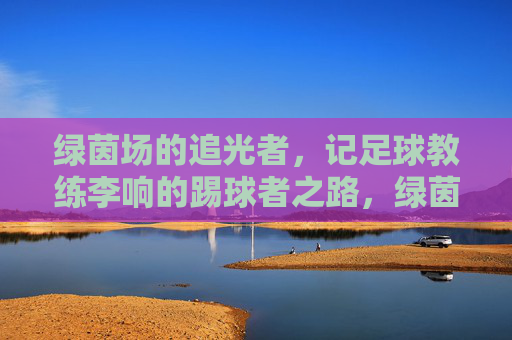 绿茵场的追光者,记足球教练李响的踢球者之路,绿茵追光者,李响踢球者之路 绿茵场的追光者,记足球教练李响的踢球者之路,绿茵追光者,李响踢球者之路