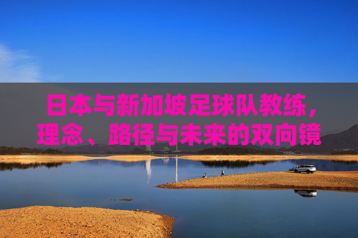 日本与新加坡足球队教练，理念、路径与未来的双向镜鉴，日新足球教练理念、路径与未来的双向镜鉴