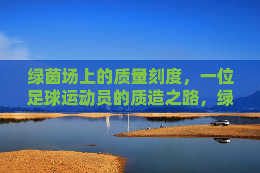 绿茵场上的质量刻度,一位足球运动员的质造之路,绿茵场上的质量刻度,足球运动员的质造之路 绿茵场上的质量刻度,一位足球运动员的质造之路,绿茵场上的质量刻度,足球运动员的质造之路