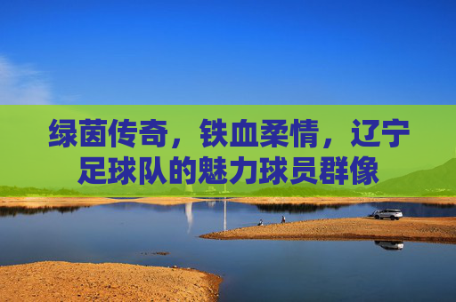 绿茵传奇,铁血柔情,辽宁足球队的魅力球员群像 绿茵传奇,铁血柔情,辽宁足球队的魅力球员群像