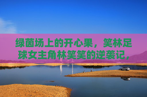 绿茵场上的开心果,笑林足球女主角林笑笑的逆袭记,林笑笑,绿茵场开心果的逆袭 绿茵场上的开心果,笑林足球女主角林笑笑的逆袭记,林笑笑,绿茵场开心果的逆袭