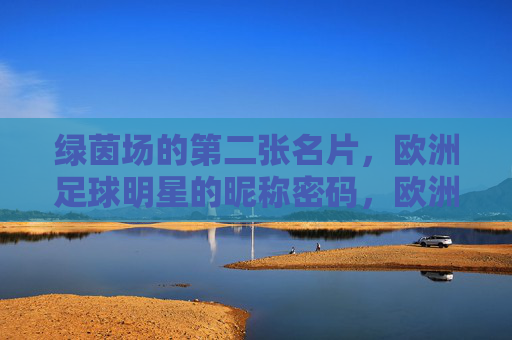 绿茵场的第二张名片,欧洲足球明星的昵称密码,欧洲足球明星的昵称,绿茵场的第二张名片 绿茵场的第二张名片,欧洲足球明星的昵称密码,欧洲足球明星的昵称,绿茵场的第二张名片