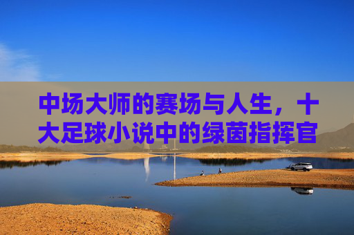 中场大师的赛场与人生，十大足球小说中的绿茵指挥官