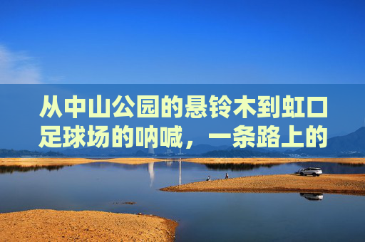 从中山公园的悬铃木到虹口足球场的呐喊,一条路上的城市双面奏,悬铃木与虹口呐喊,一条路的城市双面奏 从中山公园的悬铃木到虹口足球场的呐喊,一条路上的城市双面奏,悬铃木与虹口呐喊,一条路的城市双面奏