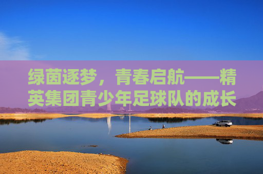 绿茵逐梦，青春启航——精英集团青少年足球队的成长与荣光，绿茵逐梦，青春启航——精英集团青少年足球队成长与荣光