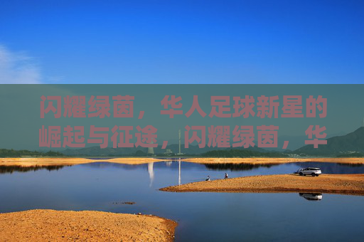 闪耀绿茵，华人足球新星的崛起与征途，闪耀绿茵，华人足球新星的崛起征途