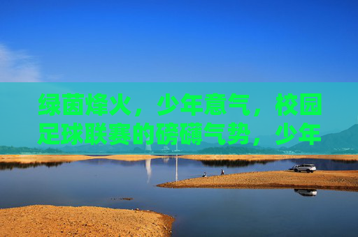 绿茵烽火,少年意气,校园足球联赛的磅礴气势,少年烽火燃绿茵,联赛磅礴意气扬 绿茵烽火,少年意气,校园足球联赛的磅礴气势,少年烽火燃绿茵,联赛磅礴意气扬
