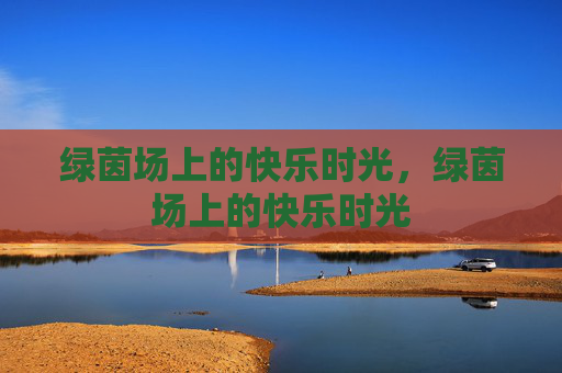 绿茵场上的快乐时光，绿茵场上的快乐时光