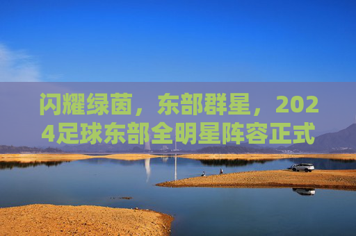 闪耀绿茵，东部群星，2024足球东部全明星阵容正式揭晓，2024足球东部全明星阵容正式揭晓
