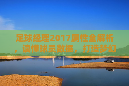 足球经理2017属性全解析,读懂球员数据,打造梦幻阵容 足球经理2017属性全解析,读懂球员数据,打造梦幻阵容
