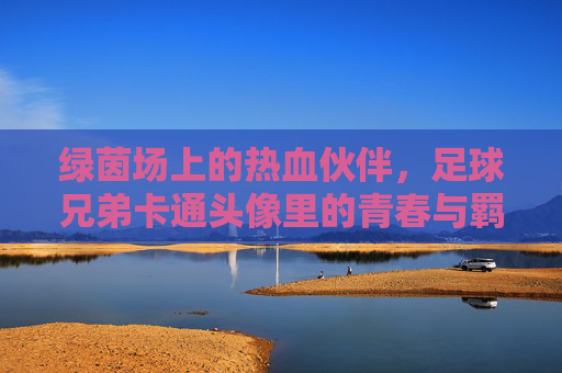 绿茵场上的热血伙伴,足球兄弟卡通头像里的青春与羁绊,足球兄弟,绿茵场上的青春羁绊 绿茵场上的热血伙伴,足球兄弟卡通头像里的青春与羁绊,足球兄弟,绿茵场上的青春羁绊
