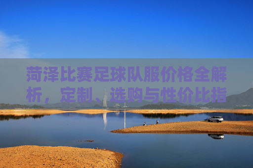 菏泽比赛足球队服价格全解析,定制、选购与性价比指南 菏泽比赛足球队服价格全解析,定制、选购与性价比指南