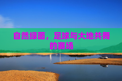 自然绿茵,足球与大地共舞的赛场 自然绿茵,足球与大地共舞的赛场