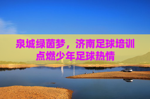 泉城绿茵梦,济南足球培训点燃少年足球热情 泉城绿茵梦,济南足球培训点燃少年足球热情