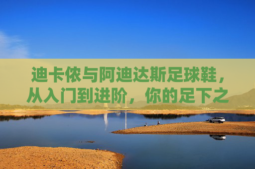 迪卡侬与阿迪达斯足球鞋，从入门到进阶，你的足下之选，迪卡侬与阿迪达斯足球鞋，从入门到进阶的足下之选