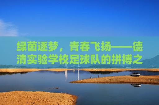 绿茵逐梦，青春飞扬——德清实验学校足球队的拼搏之路，绿茵逐梦，青春飞扬——德清实验足球队拼搏之路