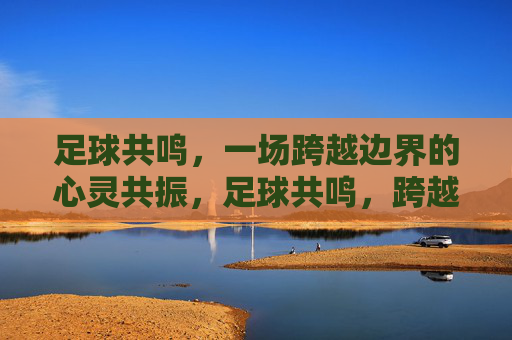 足球共鸣，一场跨越边界的心灵共振，足球共鸣，跨越边界的心灵共振
