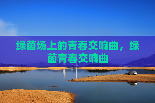 绿茵场上的青春交响曲，绿茵青春交响曲