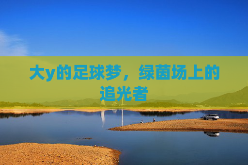 大y的足球梦,绿茵场上的追光者 大y的足球梦,绿茵场上的追光者