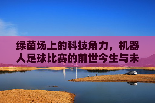 绿茵场上的科技角力，机器人足球比赛的前世今生与未来展望