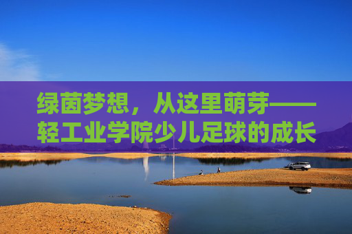 绿茵梦想，从这里萌芽——轻工业学院少儿足球的成长与热爱，轻工业学院少儿足球，绿茵梦想的成长与热爱
