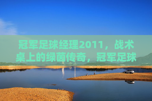 冠军足球经理2011,战术桌上的绿茵传奇,冠军足球经理2011,战术桌上的绿茵传奇 冠军足球经理2011,战术桌上的绿茵传奇,冠军足球经理2011,战术桌上的绿茵传奇