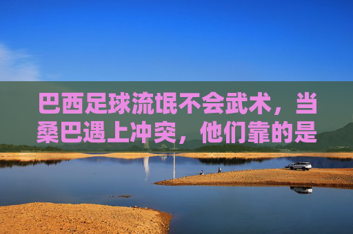 巴西足球流氓不会武术,当桑巴遇上冲突,他们靠的是喉咙而非拳头,巴西足球流氓,靠喉咙,不靠拳 巴西足球流氓不会武术,当桑巴遇上冲突,他们靠的是喉咙而非拳头,巴西足球流氓,靠喉咙,不靠拳