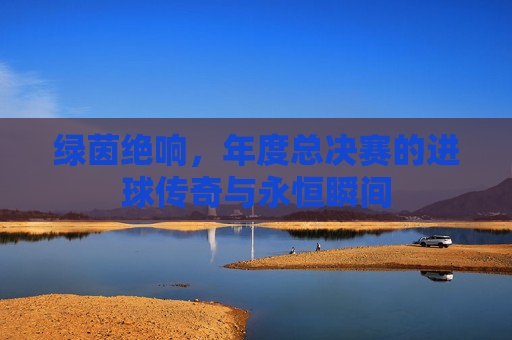 绿茵绝响，年度总决赛的进球传奇与永恒瞬间