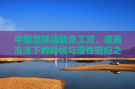 中国足球运动员工资,虚高泡沫下的隐忧与理性回归之路 中国足球运动员工资,虚高泡沫下的隐忧与理性回归之路