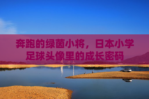 奔跑的绿茵小将，日本小学足球头像里的成长密码