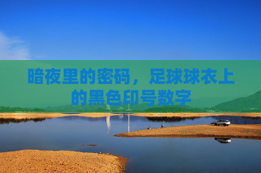 暗夜里的密码，足球球衣上的黑色印号数字