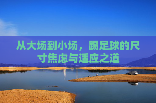 从大场到小场，踢足球的尺寸焦虑与适应之道