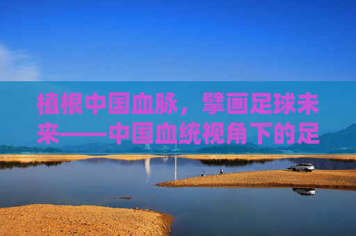 植根中国血脉，擘画足球未来——中国血统视角下的足球发展新路径