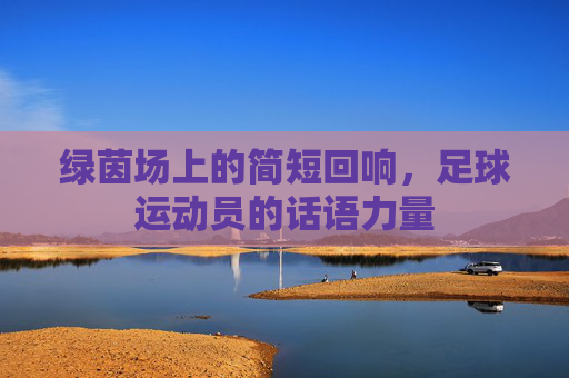 绿茵场上的简短回响，足球运动员的话语力量