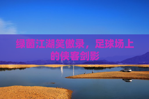 绿茵江湖笑傲录，足球场上的侠客剑影