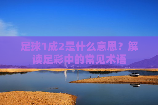 足球1成2是什么意思?解读足彩中的常见术语 足球1成2是什么意思?解读足彩中的常见术语
