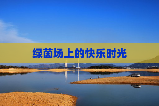 绿茵场上的快乐时光 绿茵场上的快乐时光