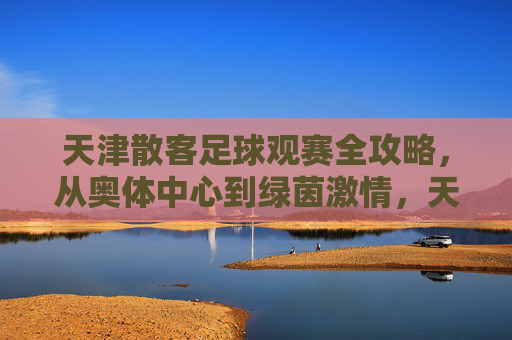 天津散客足球观赛全攻略，从奥体中心到绿茵激情，天津散客足球观赛全攻略，奥体中心点燃绿茵激情