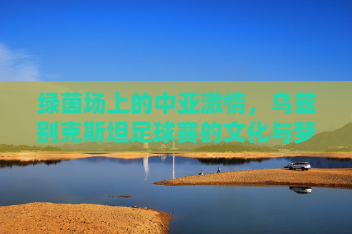 绿茵场上的中亚激情，乌兹别克斯坦足球赛的文化与梦想，绿茵中亚情，乌兹别克斯坦足球的文化与梦想
