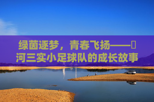 绿茵逐梦，青春飞扬——瀍河三实小足球队的成长故事