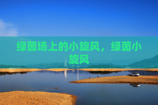 绿茵场上的小旋风，绿茵小旋风