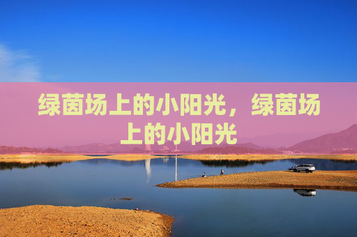绿茵场上的小阳光，绿茵场上的小阳光