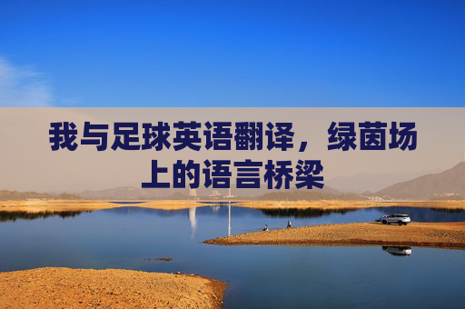 我与足球英语翻译，绿茵场上的语言桥梁