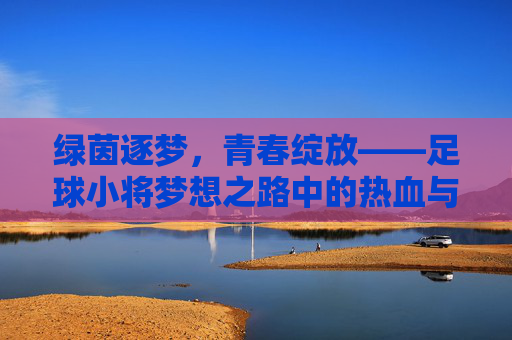 绿茵逐梦,青春绽放——足球小将梦想之路中的热血与成长,足球小将,绿茵逐梦,热血青春成长 绿茵逐梦,青春绽放——足球小将梦想之路中的热血与成长,足球小将,绿茵逐梦,热血青春成长