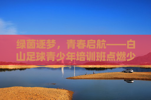 绿茵逐梦，青春启航——白山足球青少年培训班点燃少年足球热情，绿茵逐梦，青春启航——白山足球青少年培训班点燃少年足球热情