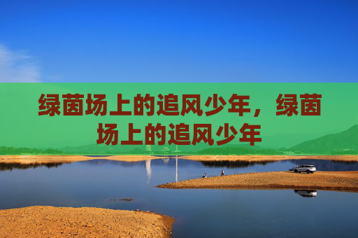 绿茵场上的追风少年，绿茵场上的追风少年