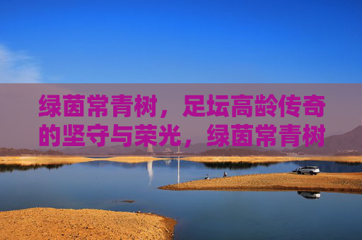 绿茵常青树，足坛高龄传奇的坚守与荣光，绿茵常青树，足坛高龄传奇的坚守与荣光
